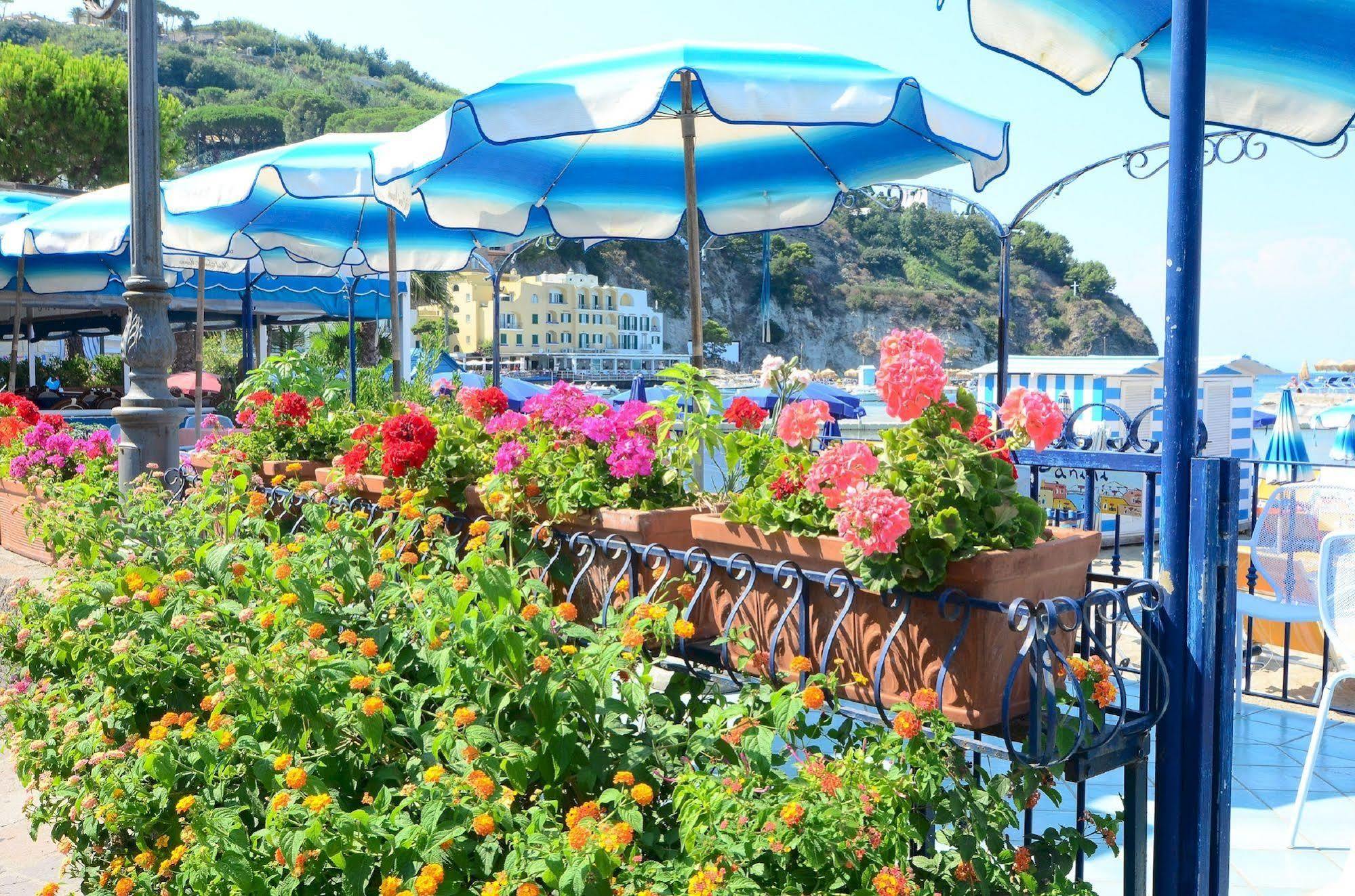 Hotel Terme Marina Lacco Ameno  ภายนอก รูปภาพ